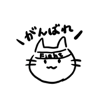 ネコチャン‼︎‼︎（個別スタンプ：14）