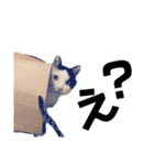 我が家のスタンプ初回盤（個別スタンプ：13）