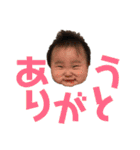 我が家のスタンプ初回盤（個別スタンプ：24）