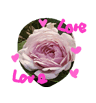 ♥お気に入りのピンク♥（個別スタンプ：5）