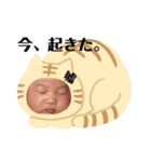 うたぴぃ時々ゆづこ（個別スタンプ：11）