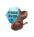 てんとスタンプ4（個別スタンプ：14）