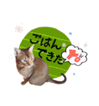 てんとスタンプ4（個別スタンプ：15）