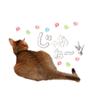 てんとスタンプ4（個別スタンプ：18）