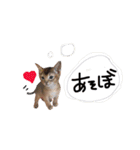 てんとスタンプ4（個別スタンプ：21）