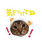 てんとスタンプ4（個別スタンプ：26）
