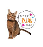 てんとスタンプ4（個別スタンプ：29）