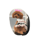 it's a cute（個別スタンプ：3）