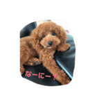 it's a cute（個別スタンプ：4）