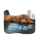 it's a cute（個別スタンプ：6）