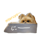 れんくんといっしょ（個別スタンプ：3）