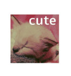 猫（English）（個別スタンプ：5）