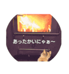 ルナちゃん①（個別スタンプ：1）