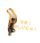 ルナちゃん①（個別スタンプ：13）