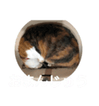 ルナちゃん①（個別スタンプ：20）