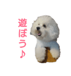 パンナdeすたんぷ（個別スタンプ：2）