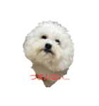 パンナdeすたんぷ（個別スタンプ：3）