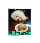 パンナdeすたんぷ（個別スタンプ：4）