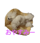 パンナdeすたんぷ（個別スタンプ：8）