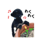 あさかZOO 2（個別スタンプ：12）