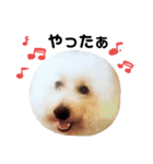 あさかZOO 2（個別スタンプ：13）