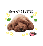 あさかZOO 2（個別スタンプ：28）