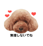 あさかZOO 2（個別スタンプ：29）