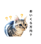 あさかZOO 2（個別スタンプ：33）
