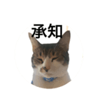 福＆BOB（個別スタンプ：3）