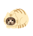 福＆BOB（個別スタンプ：6）