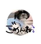くぅちゃん 第1弾（個別スタンプ：9）