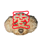 トイプードルのメリー（個別スタンプ：3）
