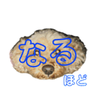 トイプードルのメリー（個別スタンプ：21）