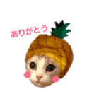 にゃんこの日常スタンプcat（くうちゃん）（個別スタンプ：1）