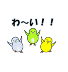 インコの日常スタンプ（個別スタンプ：1）