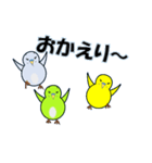 インコの日常スタンプ（個別スタンプ：2）