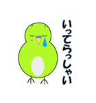 インコの日常スタンプ（個別スタンプ：3）