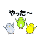 インコの日常スタンプ（個別スタンプ：5）
