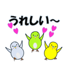 インコの日常スタンプ（個別スタンプ：6）