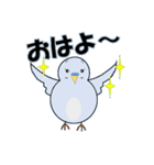 インコの日常スタンプ（個別スタンプ：7）
