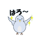 インコの日常スタンプ（個別スタンプ：8）