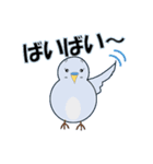 インコの日常スタンプ（個別スタンプ：9）