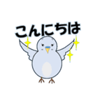 インコの日常スタンプ（個別スタンプ：10）
