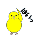 インコの日常スタンプ（個別スタンプ：12）