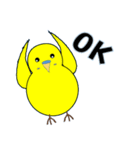 インコの日常スタンプ（個別スタンプ：13）