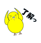 インコの日常スタンプ（個別スタンプ：14）