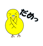 インコの日常スタンプ（個別スタンプ：16）
