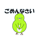 インコの日常スタンプ（個別スタンプ：17）