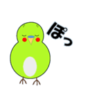 インコの日常スタンプ（個別スタンプ：19）