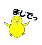 インコの日常スタンプ（個別スタンプ：24）